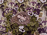 Hothouse Nursery
