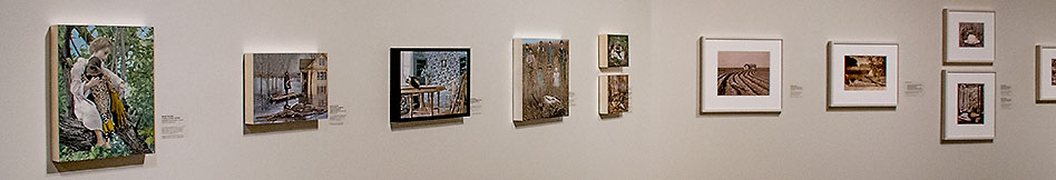 Embodied Ecologies ~ installation view