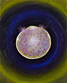 ©2008 Marsha Kennedy