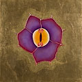 ©2008 Marsha Kennedy