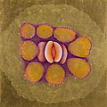 ©2008 Marsha Kennedy