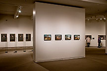 Embodied Ecologies exhibition at the Moose Jaw Art Gallery