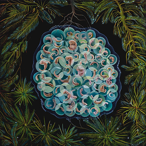 Premordial Pond