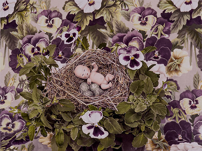 Hothouse Nursery